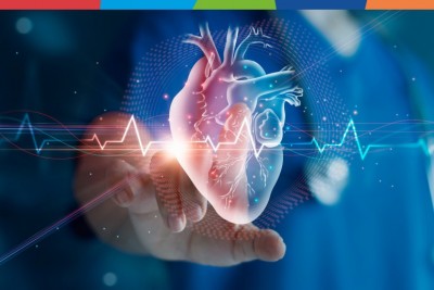 Ce afecțiuni pot fi diagnosticate cu ajutorul angiografiei?